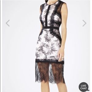 BCBG cocktail lace dress